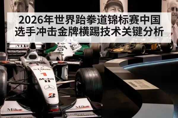 2026年世界跆拳道锦标赛中国选手冲击金牌横踢技术关键分析